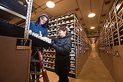 ARS scientists examine seed samples in a cold vault