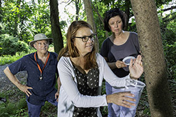 A scientist capturing spotted lanternfly specimens from a tree while two scientists watch. 
