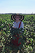 Michele Heck standing in a cotton field