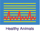 Healthy Animals logo: link to new issue
