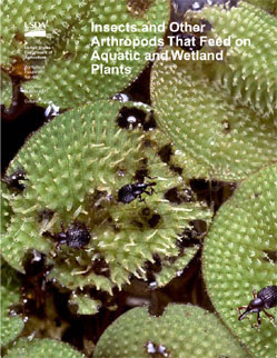 Cover of new publication: Link to online version