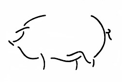 Line sketch of a pig.