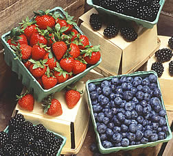 Photo: Baskets of fresh blueberries and strawberries. Link to photo information