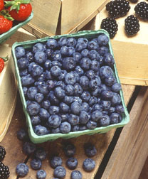 Photo: Container of blueberries. Link to photo information