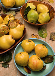 Photo: Assorted quince varieties. Link to photo information