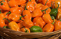 Photo: Display of fresh TigerPaw peppers in a wicker basket. Link to photo information