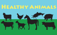 Healthy Animals icon: Link to new issue.