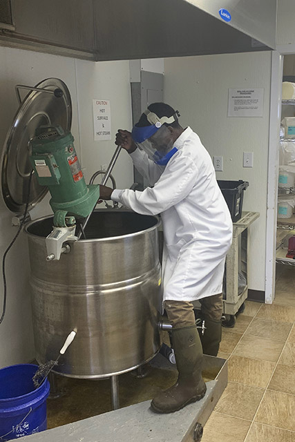 Researcher using a steam jacket kettle to prepare an artificial diet for moth colonies.