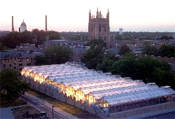 Greenhouses at new research facility 