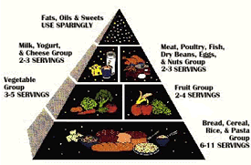 Graphic: USDA Food Guide Pyramid. 
