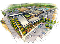 Image: Watercolor rendering of the new U.S. Arid-Land Agricultural Research Center in Maricopa, Arizona. Link to larger image.