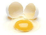 Fresh egg cracked open