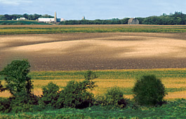 On a Minnesota farm field, light-colored areas are hilltops where soil has eroded; darker spots are low areas where soil has been deposited. 