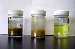 Three jars containing raw trap grease, partly filtered grease, and final product--biodiedel fuel.