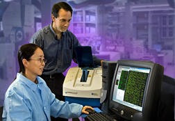 Darrell Bayles and Yanhong Liu analyze microarray data from a microarray scanner.