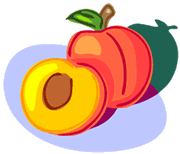 Drawing of a peach 
