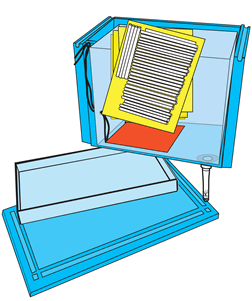 Sketch of warming and emergence box. 