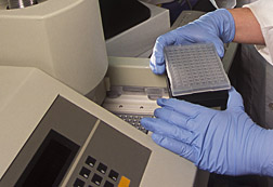 Photo: PCR assay