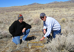 Photo: Two scientists counting cheatgrass seedlings in a measured square. Link to photo information