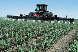 Photo: Corn field with tractor in it.