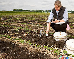 Photo: Scientist collecting gas emissions from field. Link to photo information