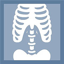Photo: Clipart of a skeleton mid-section.