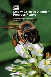 Photo: Cover of the 2010 Colony Collapse Disorder Progress Report showing a honey bee on a flower