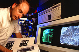 Photo: Scientist examining nematodes. Link to photo information