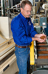Photo: ARS fish physiologist Rick Barrows inspects fish food pellets made of barley on a conveyer belt.