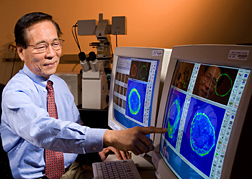 Photo: ARS molecular biologist Daniel H. Hwang studies scans of receptors involved in inflammation. Link to photo information