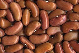 Photo: Kidney beans. Link to photo information