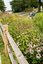 Photo: ARS hydrologist Douglas Boyer (right) and Beckley, WV, Sanitary Board operations manager Jeremiah Johnson examine a rain garden. Link to photo information
