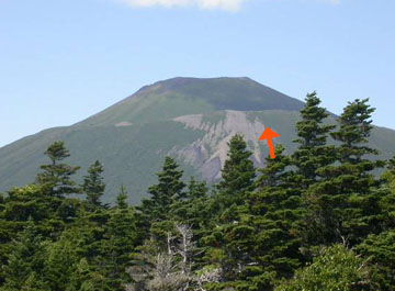 Photo: Red arrow showing where a wild strawberry was collected from the flank of Russian volcano.