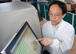 Photo: ARS chemist Thomas Wang looks at data on a computer screen.