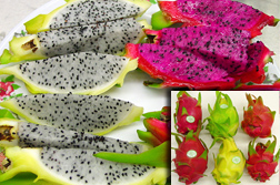 Photo: Slices of dragon fruit on a plate. Inset: Whole dragon fruit.