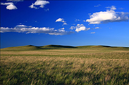 Photo: Semi-arid rangeland near Cheyenne,Wyoming.