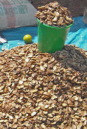 Photo: African mango kernels. Link to photo information