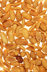 Photo: Shelled peanuts. Link to photo information
