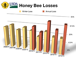 Graph depicting winter and annual honey bee losses from 2006 to 2014