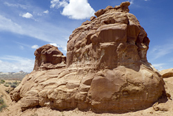  A column of sandstone rock riddled with A. pueblo nests in the southwestern United States.
