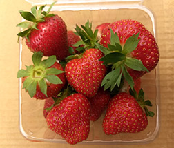 Keepsake strawberries in a container