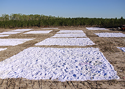 Pulverized paper spread evenly over plots