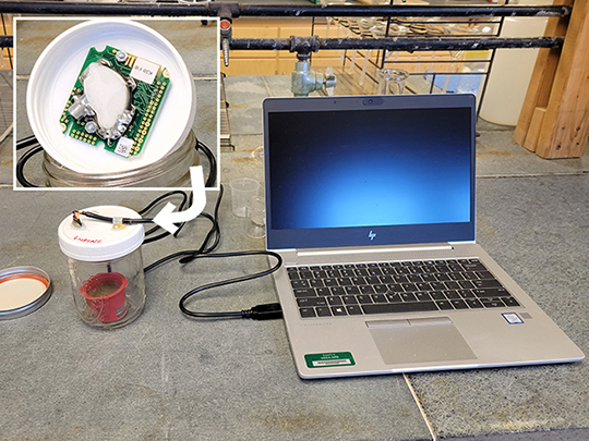 Infrared analyzer attached to the cover of the mason jar to absorb carbon dioxide flush, which is read in the laptop computer