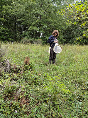 Mikayla Ward collecting bees.