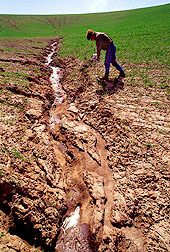 photo of soil erosion