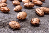 photo of Burke pinto beans