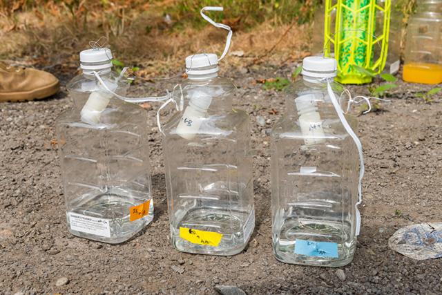 Bottle traps
