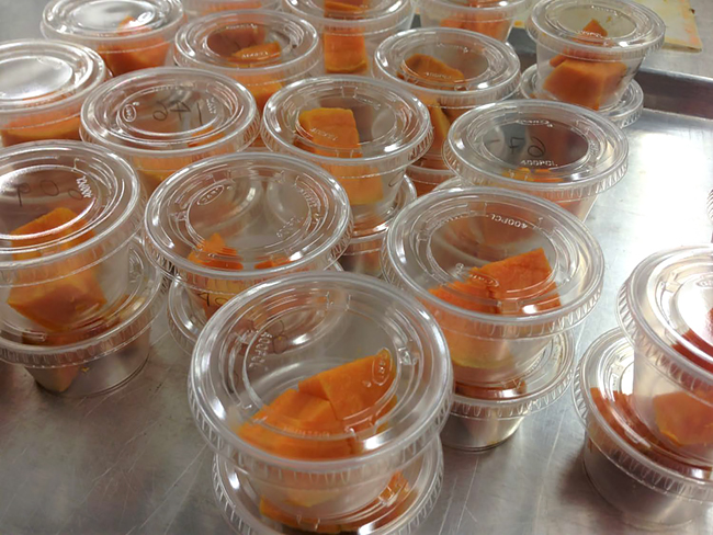 Sweetpotato samples for sensory analysis