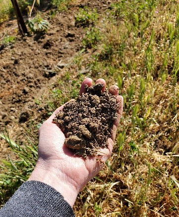 Handful of soil