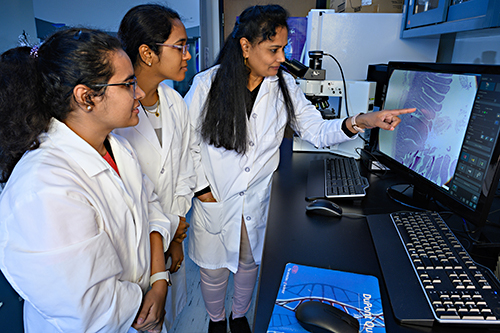 Revathi Shanmugasundaram and two graduate students looking at a computer screen.